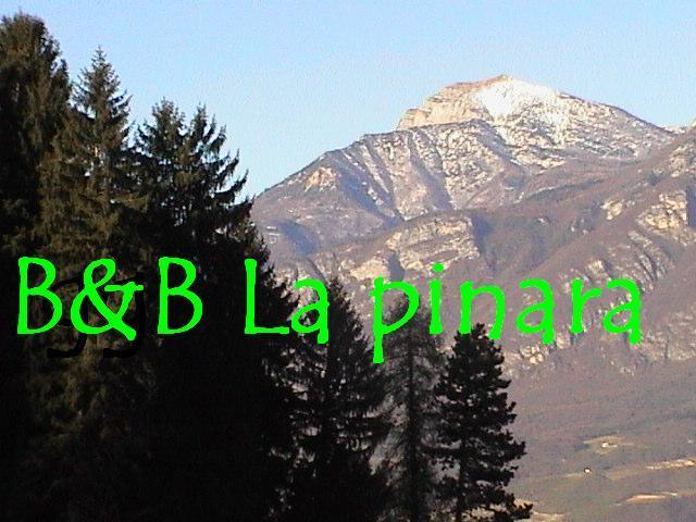 B&B La Pinara Trento Oda fotoğraf