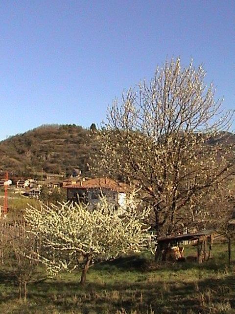 B&B La Pinara Trento Dış mekan fotoğraf