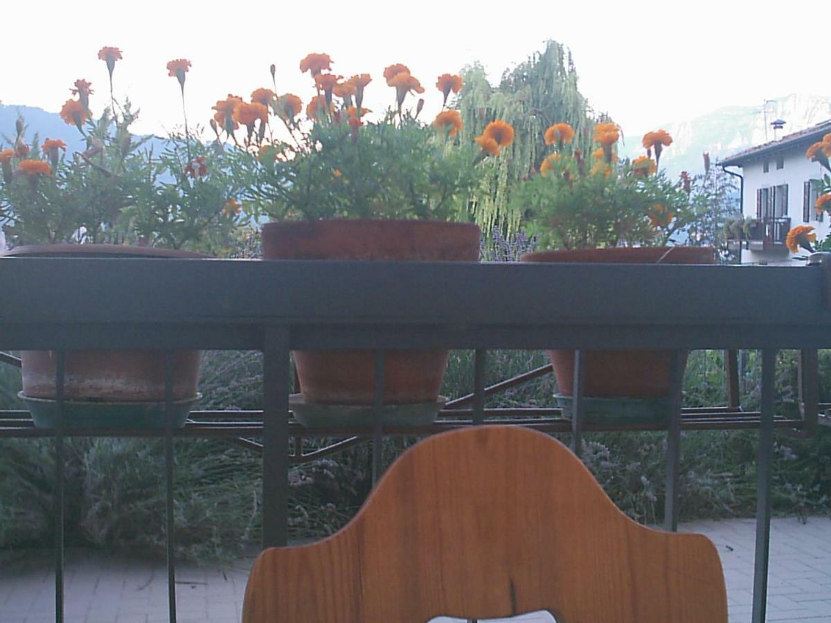 B&B La Pinara Trento Dış mekan fotoğraf